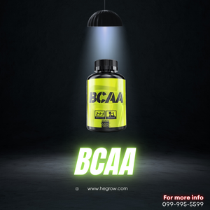 BCAA